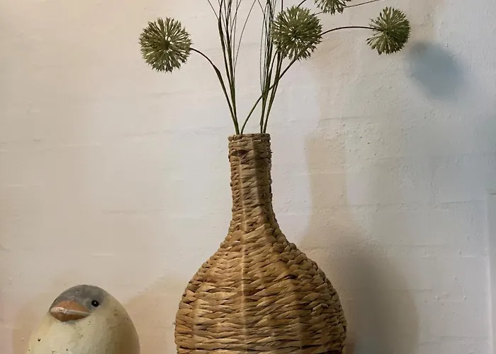 Svalereden 3* Saeby (Nordjylland)