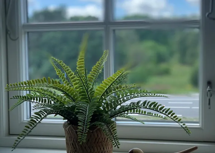 Svalereden Campsite 3*