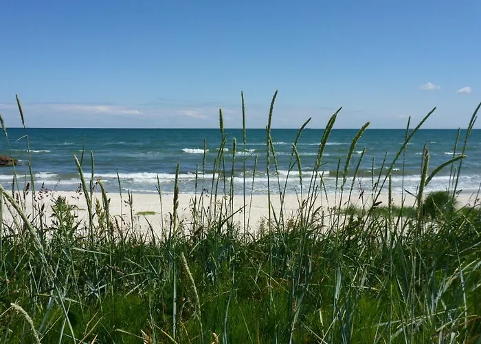 Svalereden Campsite 3*